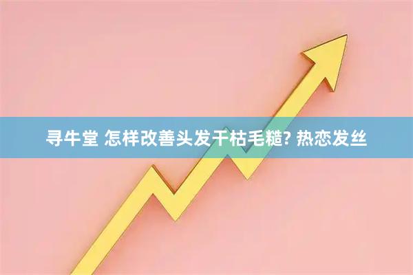 寻牛堂 怎样改善头发干枯毛糙? 热恋发丝