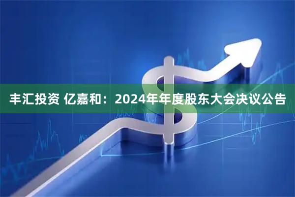 丰汇投资 亿嘉和：2024年年度股东大会决议公告