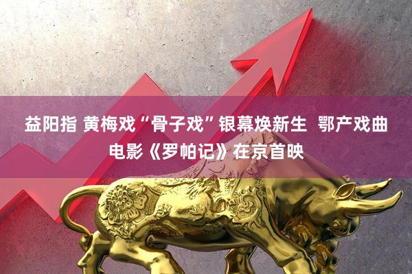 益阳指 黄梅戏“骨子戏”银幕焕新生  鄂产戏曲电影《罗帕记》在京首映